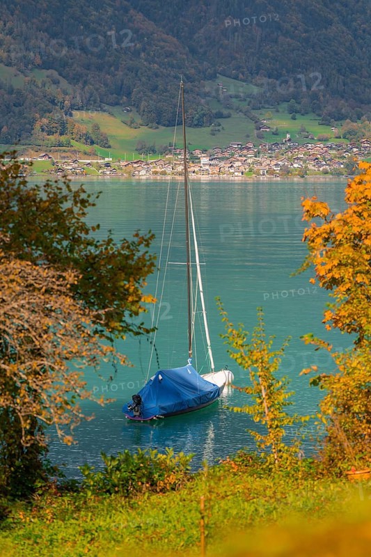 A blue sailing boat on a calm lake, surrounded by autumnal trees and mountainous landscape, Lake Brienz, Switzerland, Europe