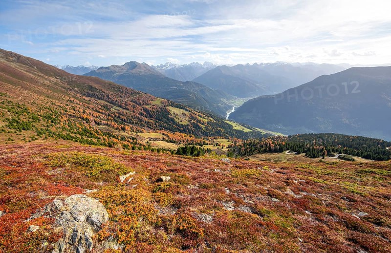 View of the mountain panorama and the Upper Inn Valley in the morning light, Krahberg on the Venet in autumn with yellow larches, Ötztal Alps, Tyrol, Austria, Europe