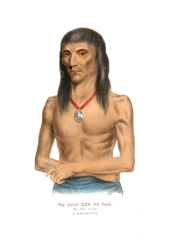 Indians, Native Americans of North America, Wa-Bish-Kee-Pe-Nas. The White Pigeon, Chief of the Chippewa Tribe, United States of America, USA, Painting by Charles Bird King (1785, 1862), c. 1840, Historic, digitally restored reproduction from a 19th century original, Record date not stated, North America