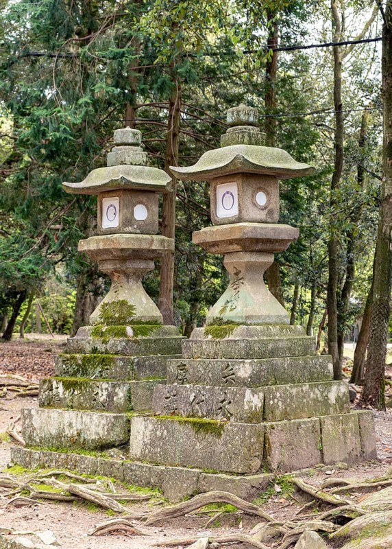 Stone lanterns, Kasuga-taisha shrine, Nara, Japan, Asia