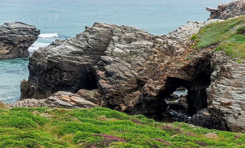 Rugged rock formations with natural arches and dense vegetation along the coast, Praia das Catedrais, Playa de las Catedrales, Cathedral beach, As Catedrais beach, Cantabrian Sea, Ribadeo, Galicia, Galicia, Spain, Europe
