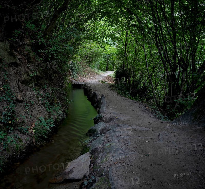 Hiking trail, Maiser Waalweg, stream, long exposure, Schenna, Scena, South Tyrol, Autonomous Province of Bolzano, Italy, Europe