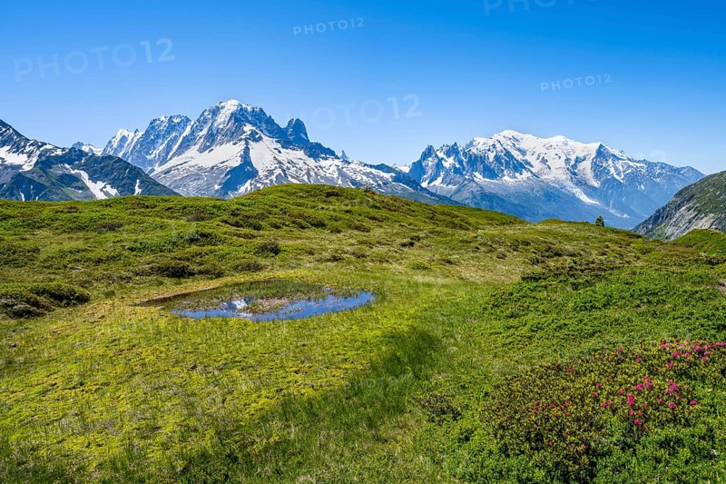 Mountain panorama with glaciated mountain peaks, Aiguille Verte with Aiguille du Midi and Mont Blanc, hike to Aiguillette des Posettes, Chamonix, Haute-Savoie, France, Europe