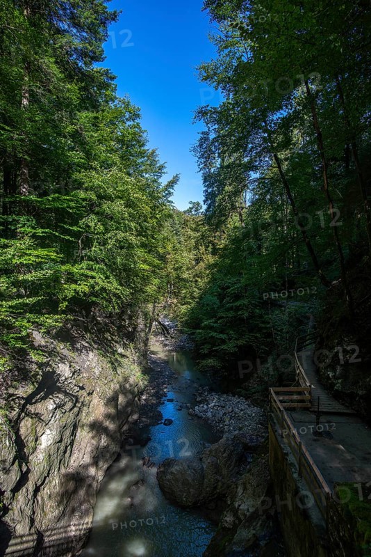 Rappenloch Gorge natural monument, Dornbirner Ach, Dornbirn, wooden footbridge, Bregenzerwald, Austria, Europe