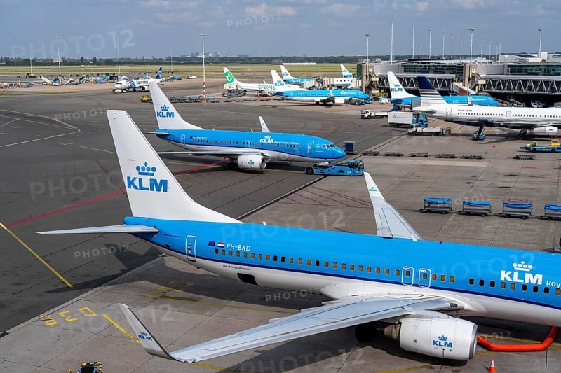 Amsterdam Schiphol Airport, aircraft at terminal, Gate D, check-in, apron, Amsterdam, Netherlands