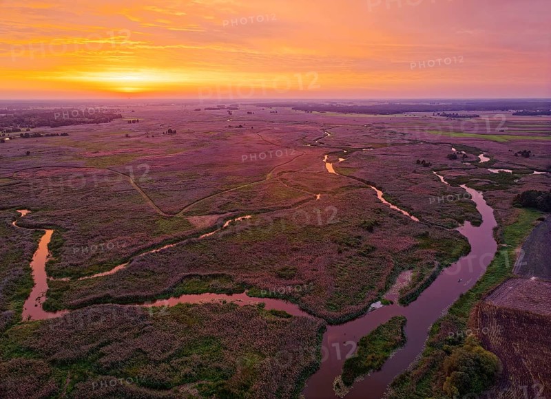 Sunrise over the meandering riverbed of the Narew and the Narew National Park, Narwianski Park Narodowy, in north-east Poland. Aerial view. Waniewo, Podlaskie, Poland, Europe