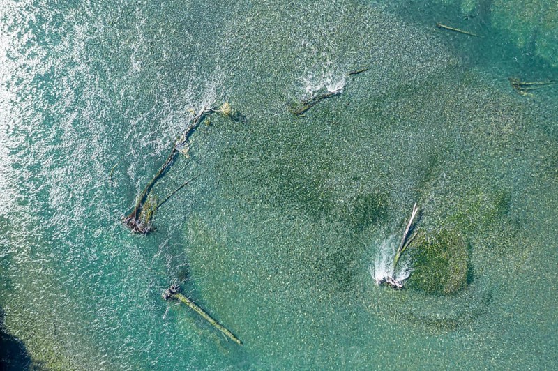 Confluence of river Rio Frio and Rio Yelcho, dead trees in the river, Patagonia, Chile, South America
