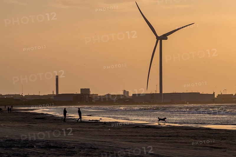 Hirtshals beach next to the harbor, large windmill at the beach, dog playing at the sea, Hirtshals, Danmark