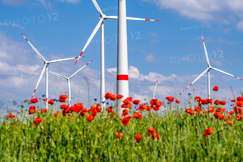 Wind farm, field with flower strips, insect-friendly border of fields with mixed flowers, poppies, north of Marsberg, Hochsauerlandkreis, North Rhine-Westphalia, Germany, Europe