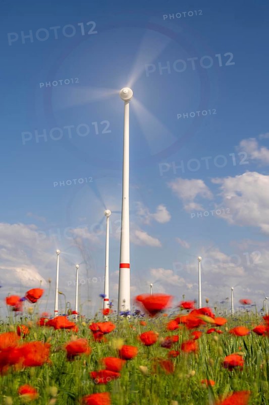 Wind farm, field with flower strips, insect-friendly border of fields with mixed flowers, poppies, north of Marsberg, Hochsauerlandkreis, North Rhine-Westphalia, Germany, Europe