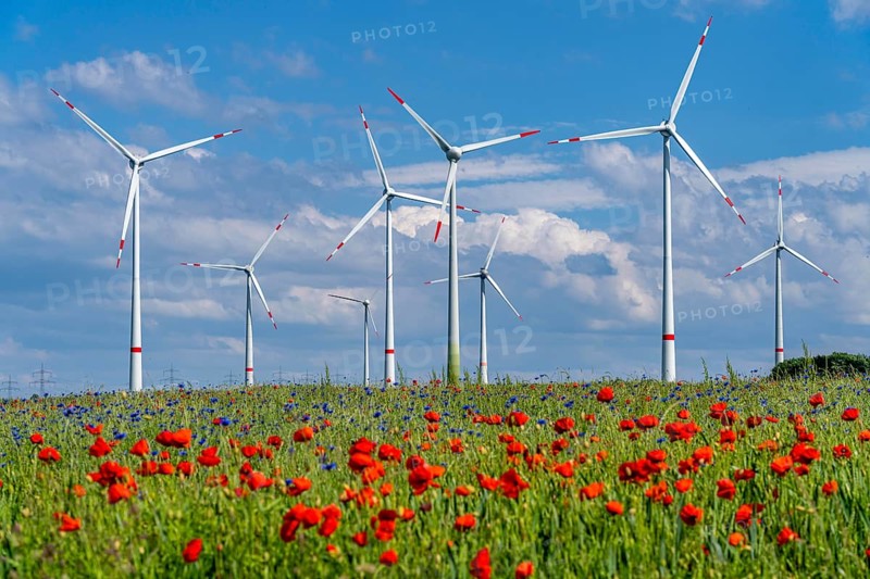 Wind farm, field with flower strips, insect-friendly border of fields with mixed flowers, poppies, north of Marsberg, Hochsauerlandkreis, North Rhine-Westphalia, Germany, Europe