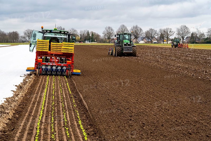 Lettuce plants, in press pots, they are planted in a field with a planting machine, tractors with roundabout harrow and plough prepare the soilFarming, spring