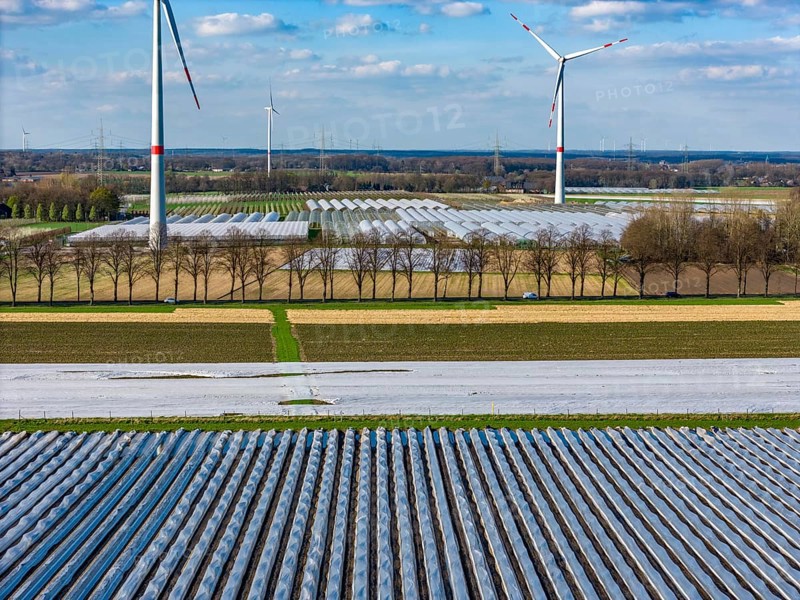 Asparagus fields, asparagus stems under foil, for faster growth, in the background foil greenhouses for strawberries, wind turbines, near Kirchhellen, district of Bottrop, North Rhine-Westphalia, Germany, Europe