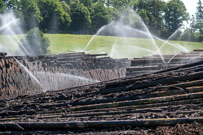 Wet wood storage of a sawmill, timber that is stored longer is sprinkled with water so that the logs soak up water and thus keep pests away and the wood is not too dry and cracks for processing, spruce wood, Arnsberg Forest, Ansberg, North Rhine-Westphalia, Germany, Europe