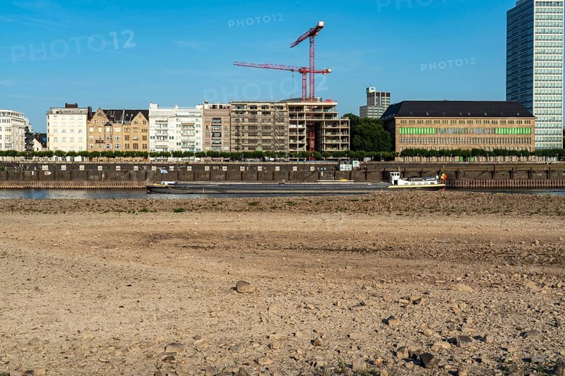 Rhine near Düsseldorf, extremely low water, Rhine level at 81 cm, falling, after a long drought the left bank of the Rhine is dry, near Düsseldorf Oberkassel, North Rhine-Westphalia, Germany, Europe