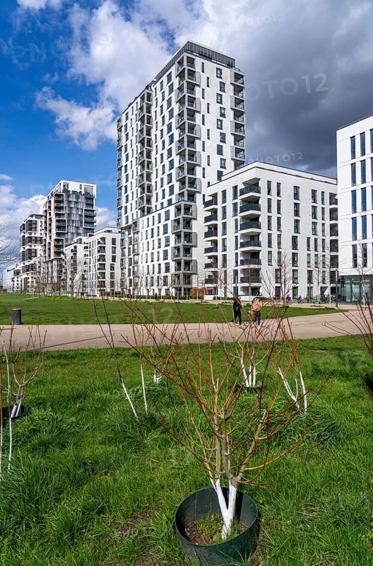 Modern residential district along Toulouser Allee, high-rise buildings with flats and offices, on former railway facilities, goods station, commercial areas, new tree planting North Rhine-Westphalia, Germany, Europe