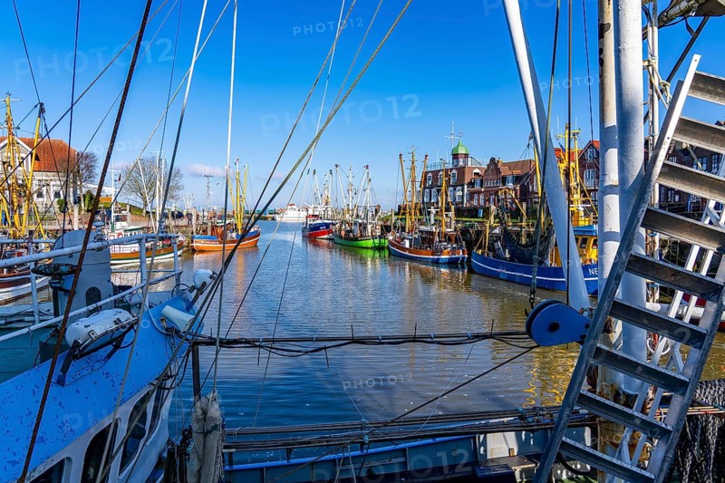 Cutter harbour Neuharlingersiel, Lower Saxony, Germany, Europe