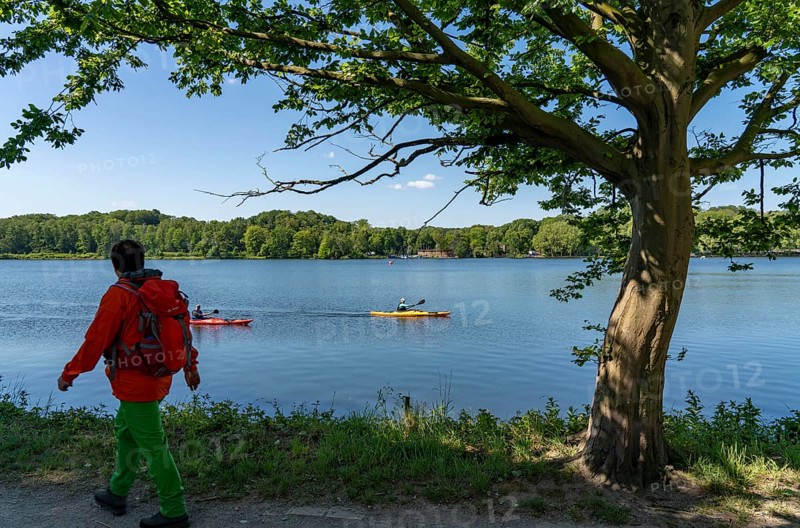 Hiking on the Baldeney Steig, a hiking trail around Lake Baldeney in Essen, a Ruhr reservoir, over the Ruhr heights, Essen, North Rhine-Westphalia, Germany, Europe