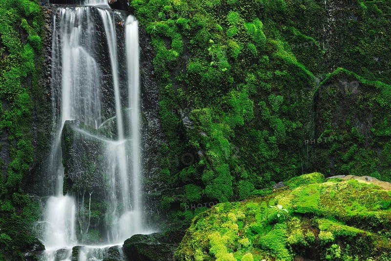 Purakaunui Falls, Catlins Forest Park, Otago, South Island New Zealand, Parakaunui Falls, Otago, New Zealand, Oceania