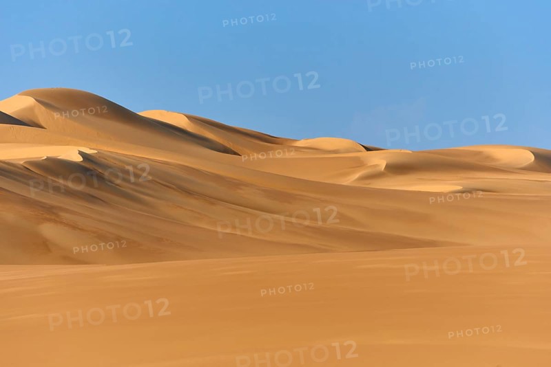 Sand dunes under a blue sky, conveying a calm and vast desert landscape, Matruh, Great Sand Sea, Libyan Desert, Sahara, Egypt, North Africa, Africa