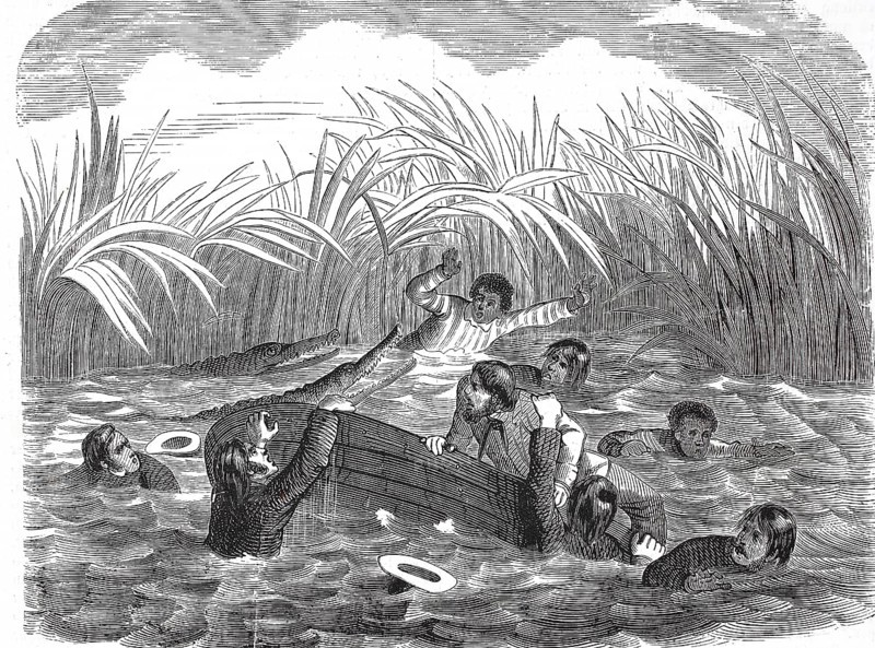 Historical, digitally restored reproduction from a 19th century original, Record date not stated, People save themselves from crocodiles from a capsized boat, 1855