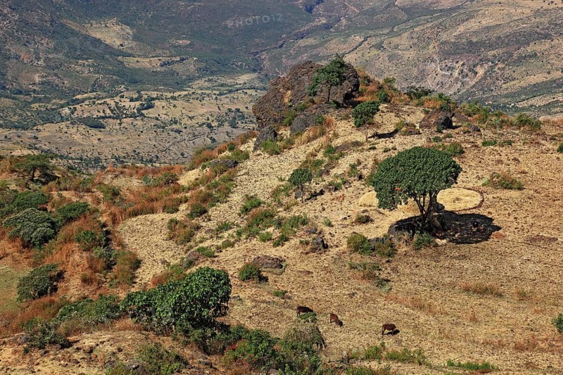 Landscape in the Choke Mountains, view into the valley, Ethiopia, Africa