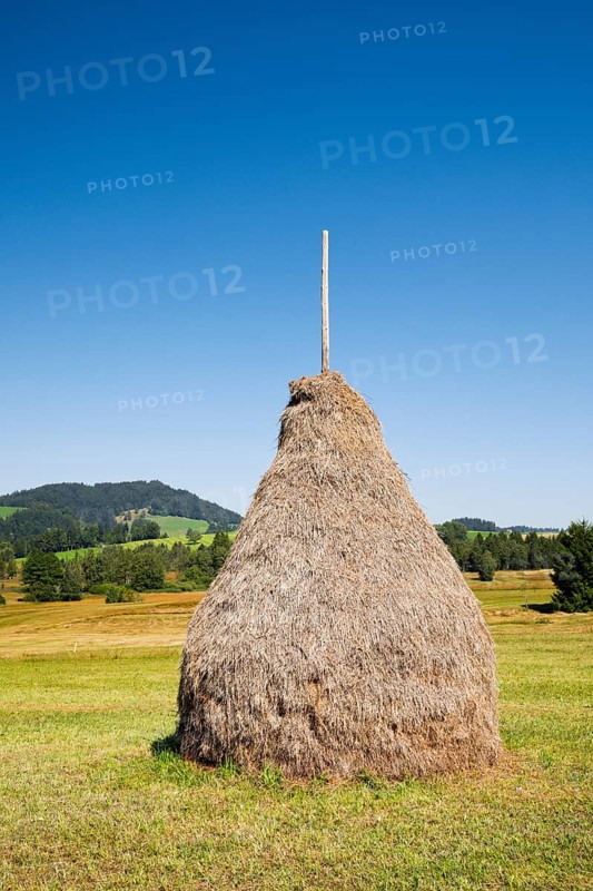 Traditional haystack Triste in the Schwantenau moorland, Canton Schwyz, Switzerland, Europe