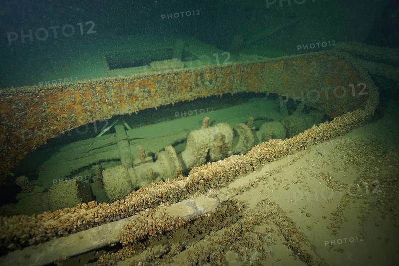 Rusty, with mussels, Quagga triangle mussel (Dreissena rostriformis bugensis), invasive species, covered engine part of a shipwreck under water, dive site wreck of the Jura, Lake Constance, Bottighofen, Switzerland, Münsterlingen, Germany, Europe