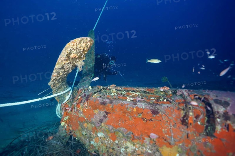 A diver examines an aircraft wreck from the Second World War deep in the ocean, dive site aircraft wreck Mustang P51, Giens peninsula, Provence Alpes Côte d'Azur, France, Europe