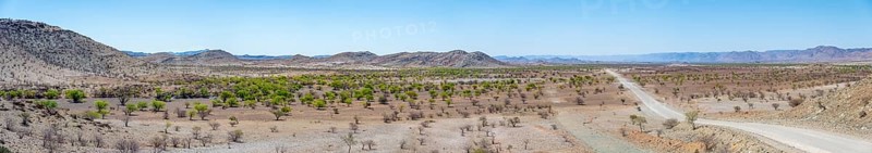 Panorama, gravel track leads through barren dry landscape with hills, Damaraland, Kunene, Namibia, Africa