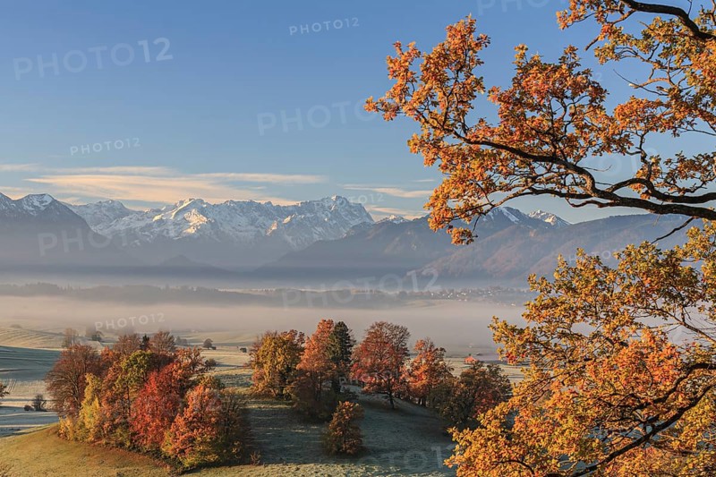 Morning fog, autumn colours, mountains, autumn, haze, Aidling, view of Zugspitze, Alpine foothills, Bavaria, Germany, Europe
