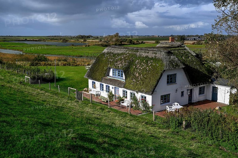 Thatched-roof house on Kaydeich, Pellworm Island, Schleswig-Holstein Wadden Sea National Park, North Frisia, Germany, Europe