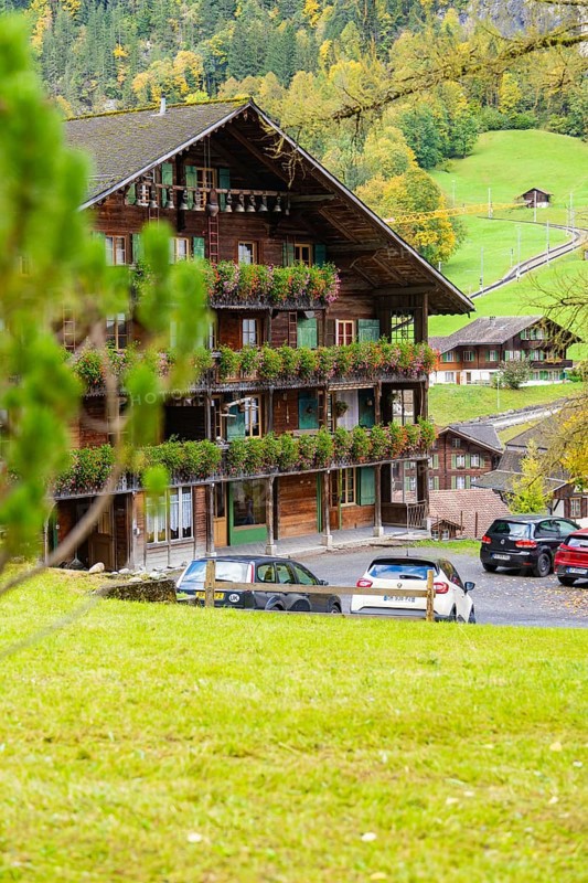 Wooden house with flower-decorated balcony in a village surrounded by trees, Lauterbrunnen, Switzerland, Europe
