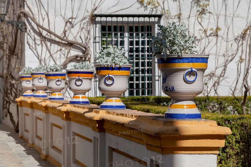 Jardines del Alcazar, Gardens in the Alcazar, Royal Palace of Seville, Seville, Spain, Europe