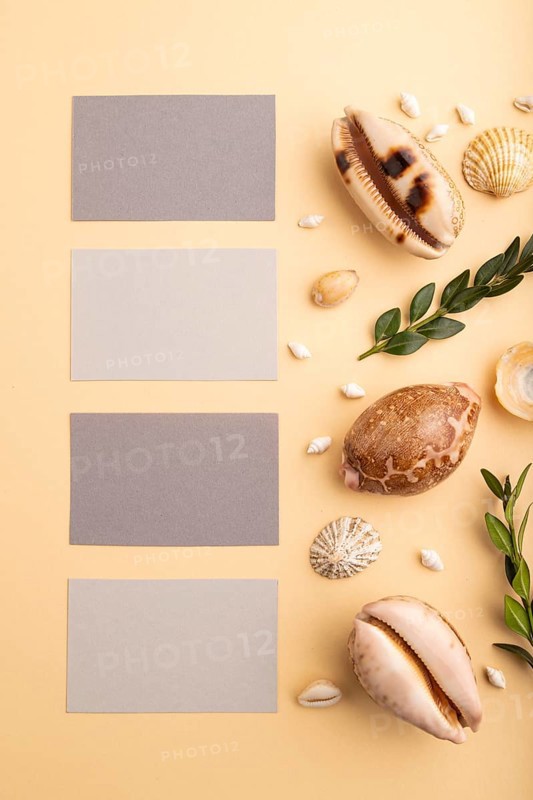 Composition of gray paper business cards, seashells, green boxwood. mockup on orange background. Blank, top view, still life, flat lay, copy space. travel concept