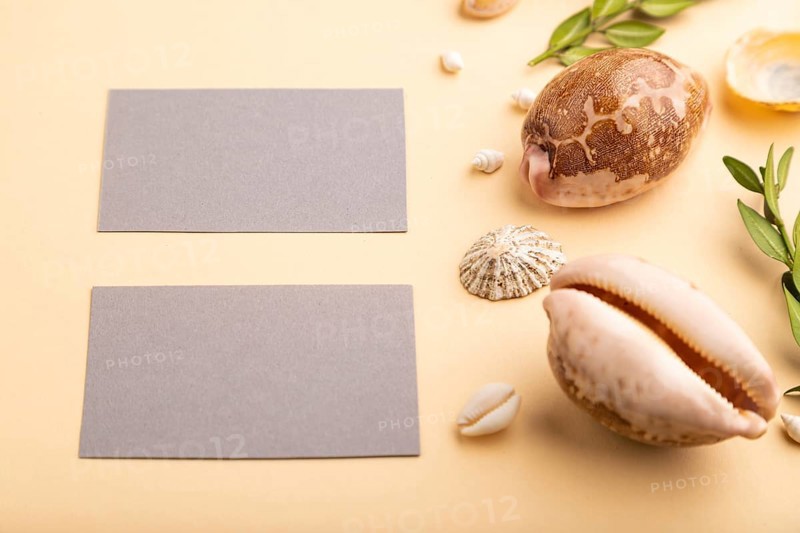 Composition of gray paper business cards, seashells, green boxwood. mockup on orange background. Blank, side view, still life, copy space. travel concept
