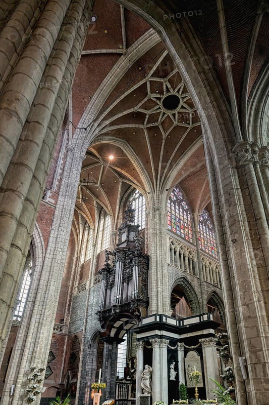 10th century Gothic St. Bavo Cathedral, Vaulted ceiling and columns of the central nave, Ghent, Flanders, Belgium, Europe