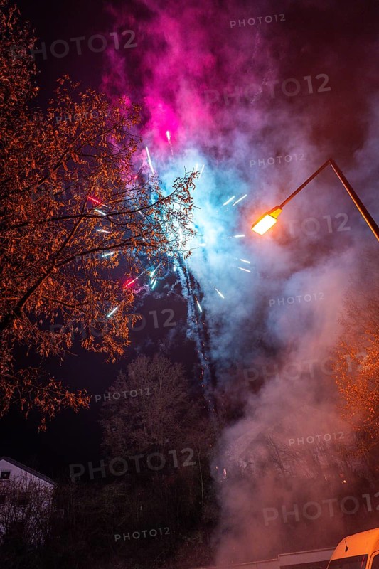 Colourful fireworks explode over a tree and illuminate the night sky, Stuttgart Birkach, Germany, Europe