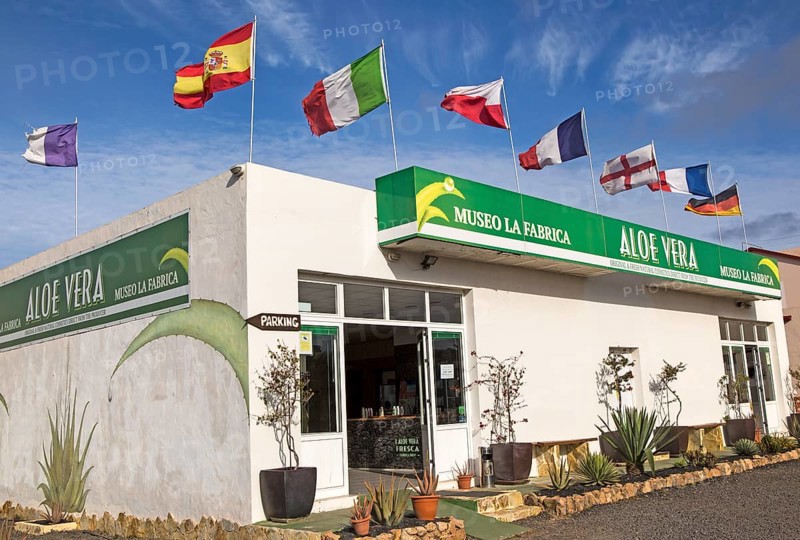 Aloe vera factory shop, Oliva, Fuerteventura, Canary Islands, Spain, Europe