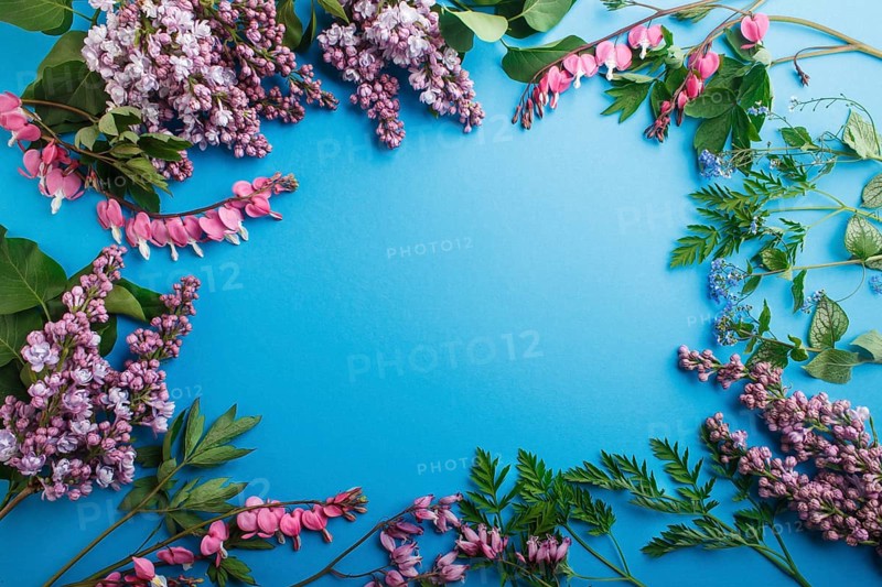 Purple lilac and bleeding heart flowers on pastel blue background. Morninig, spring, fashion composition with copy space. Flat lay, top view