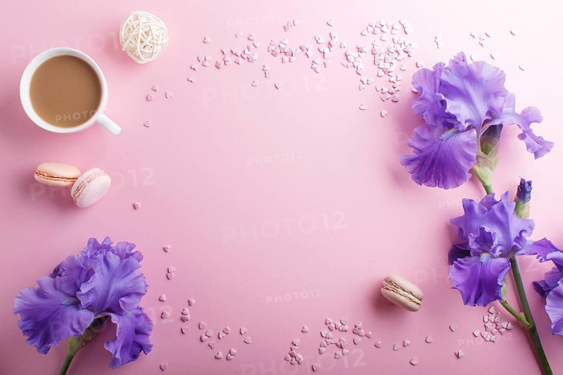 Purple iris flowers and a cup of coffee on a pink pastel background. Morninig, spring, fashion composition. Flat lay, top view, copy space