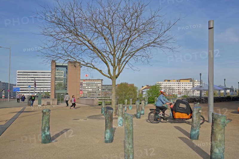 Memorial The Interrupted Forest by Ariel Auslender 2013 and pedestrian, cyclist with trailer, memorial, Nazi era, deportation of Jews, Jews, murder, tree stumps, bronze, Saarufer, Rabbiner-Rülf-Platz, Saarbrücken, Saarland, Germany, Europe