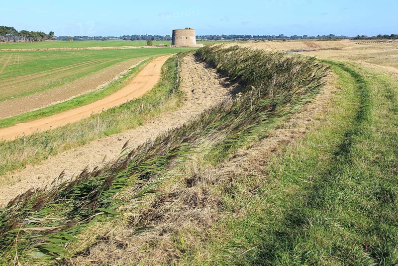Flood defence sea wall dyke view north to Shingle Street, Alderton, Suffolk, England, UK