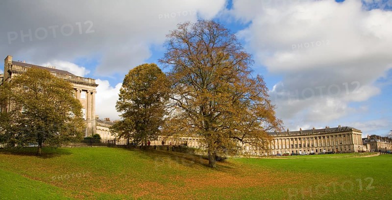 Autumn tree colours at The Royal Crescent, architect John Wood the Younger built between 1767 and 1774, Bath, Somerset, England, United Kingdom, Europe