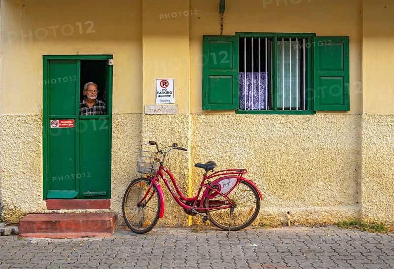 Man looks out a window of yellow house with red bicycle, Fort Kochi, Cochin, Kerala, India, Asia