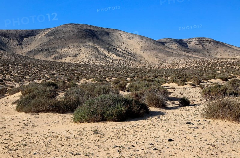 Dry sandy desert Jandia peninsula, Fuerteventura, Canary Islands, Spain, Europe