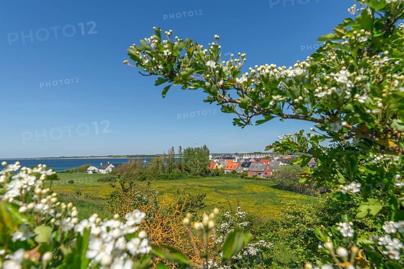 Bagenkop Klinten, Dovne Kliff, view from the cliff over the town, apple blossom, Langeland Island, Funen, Danish South Sea, Baltic Sea, Denmark, Europe