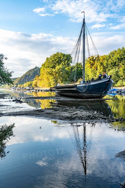 The Rhine at extremely low water, near Bad Honnef Rhöndorf, below the Drachenfels, the historic Rhine ship, Aalschokker Aranka, in the Old Rhine arm, on the island of Grafenwerth, dry banks of the Rhine, North Rhine-Westphalia, Germany, Europe