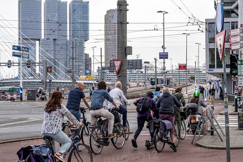 Cyclist on cycle path in front of the Erasmus Bridge over the Nieuwe Maas, skyline of skyscrapers on the Kop van Zuid, Rotterdam, Netherlands