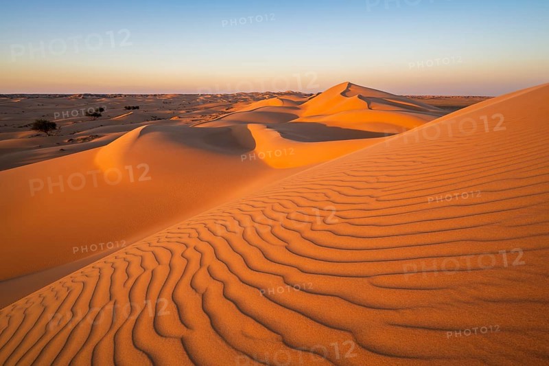 Sand dunes in the desert, near Duqm, Oman, Asia